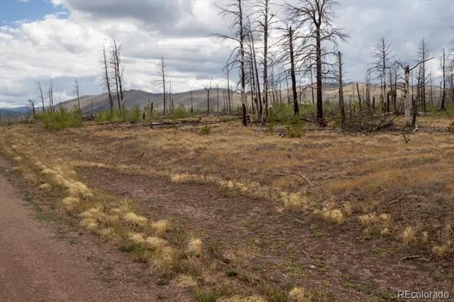 Lot 1576 Emery Lane Fort Garland, CO 81133
