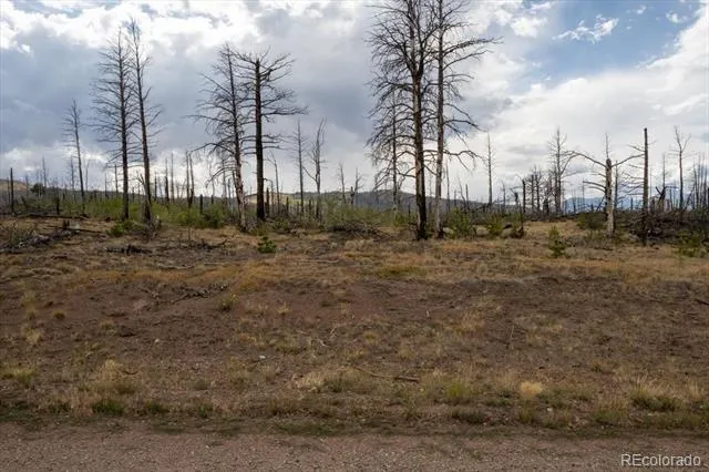 Lot 1576 Emery Lane Fort Garland, CO 81133