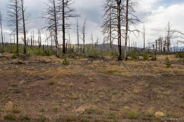 Lot 1576 Emery Lane Fort Garland, CO 81133