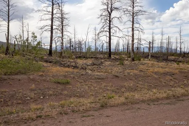 Lot 1576 Emery Lane Fort Garland, CO 81133
