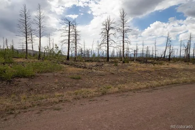 Lot 1576 Emery Lane Fort Garland, CO 81133