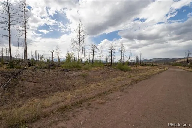 Lot 1576 Emery Lane Fort Garland, CO 81133