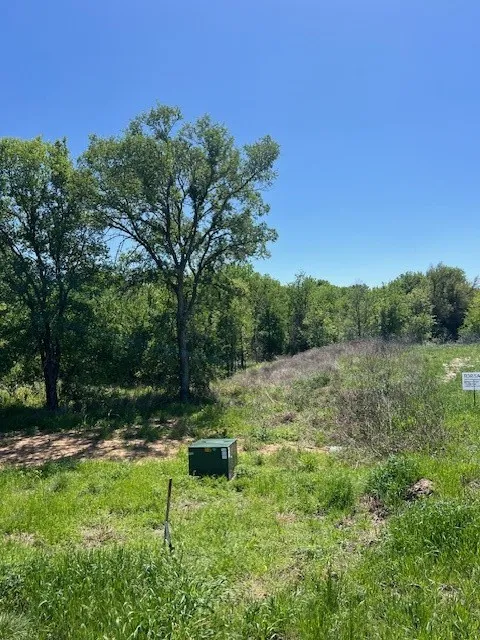1004 Bermes Court Brock, TX 76087