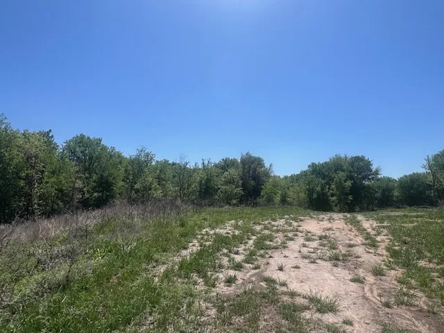 1004 Bermes Court Brock, TX 76087
