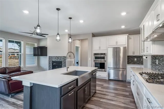 461 Hideaway Court Castle Rock, CO 80104