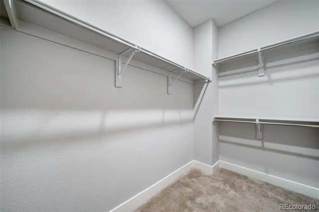 461 Hideaway Court Castle Rock, CO 80104