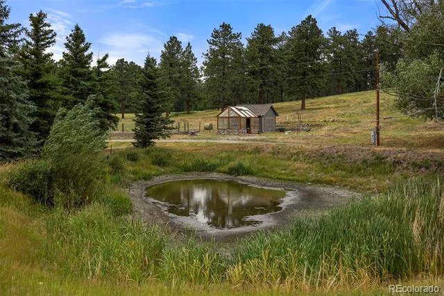 9610 S Perry Park Road Larkspur, CO 80118