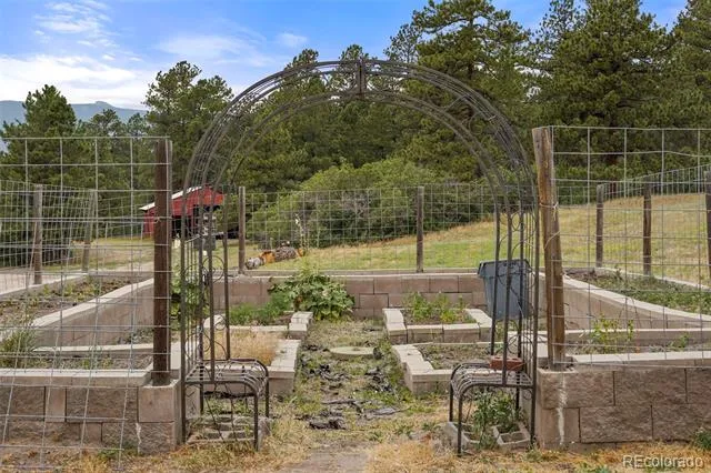 9610 S Perry Park Road Larkspur, CO 80118