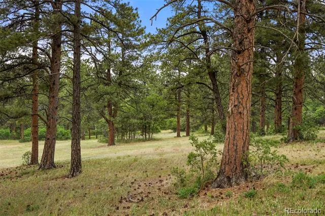 9610 S Perry Park Road Larkspur, CO 80118