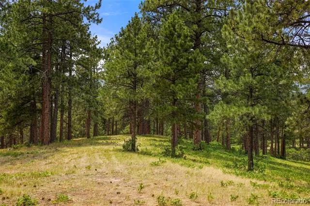 9610 S Perry Park Road Larkspur, CO 80118