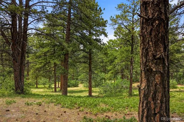 9610 S Perry Park Road Larkspur, CO 80118