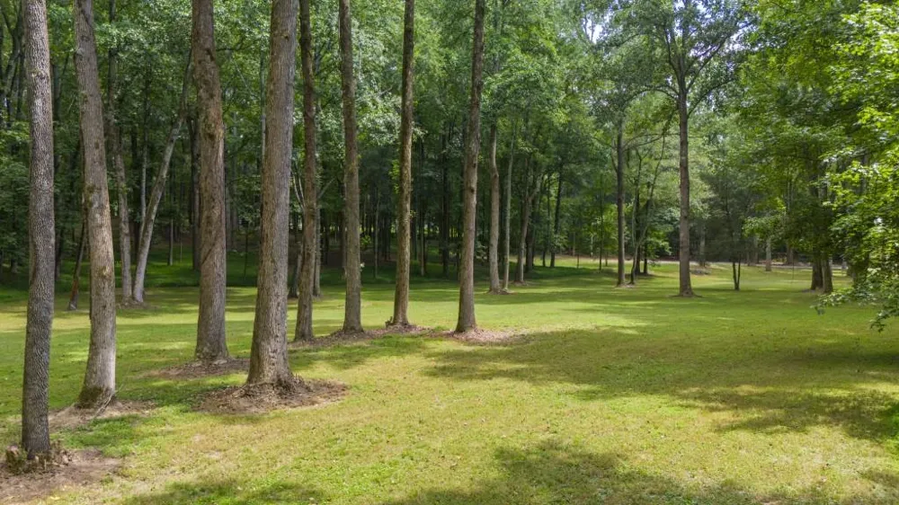 383 Liberty Grove Rd Alpharetta, GA 30004
