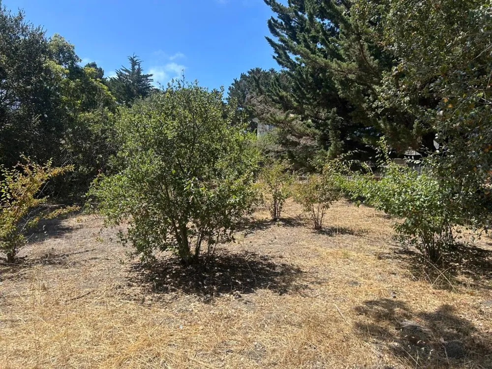 26046 Highway 1 Carmel, CA 93923