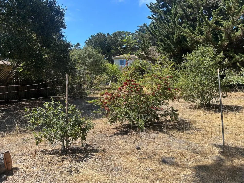 26046 Highway 1 Carmel, CA 93923