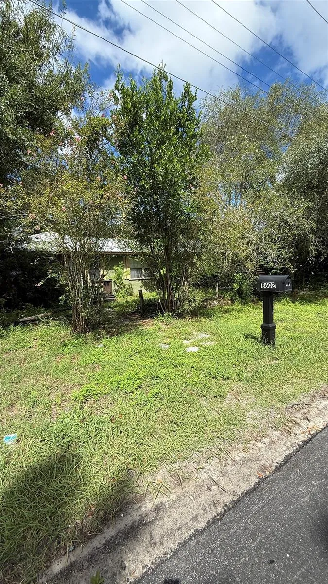 8602 ROME AVENUE Tampa, FL 33604