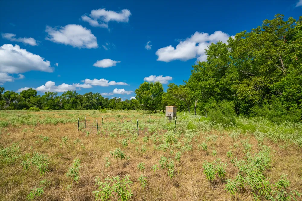 17000 FM 112 Thrall, TX 76578