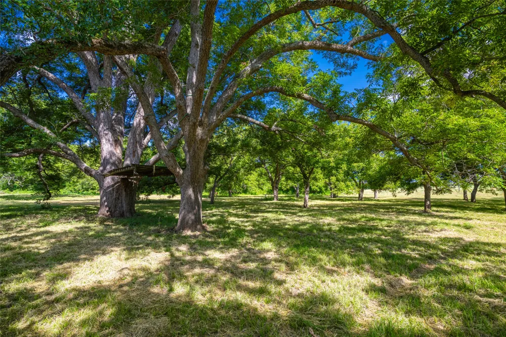17000 FM 112 Thrall, TX 76578