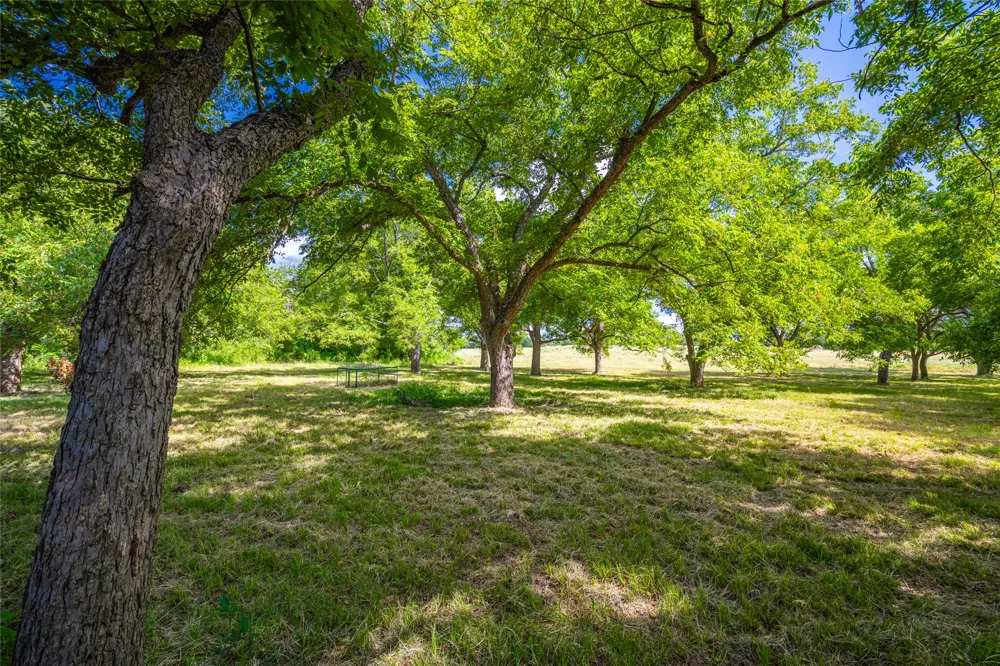 17000 FM 112 Thrall, TX 76578