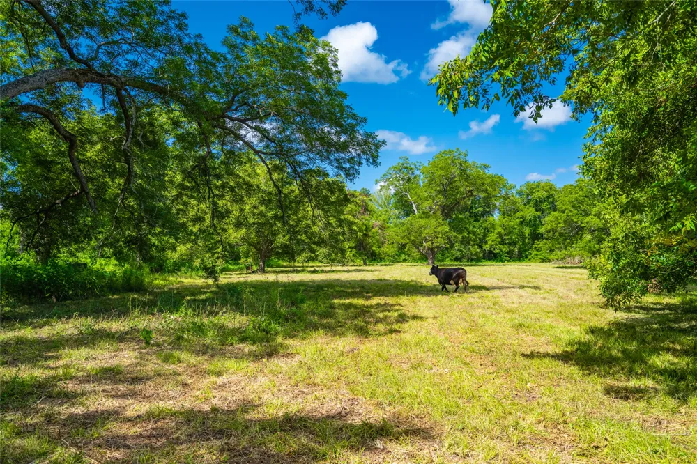 17000 FM 112 Thrall, TX 76578