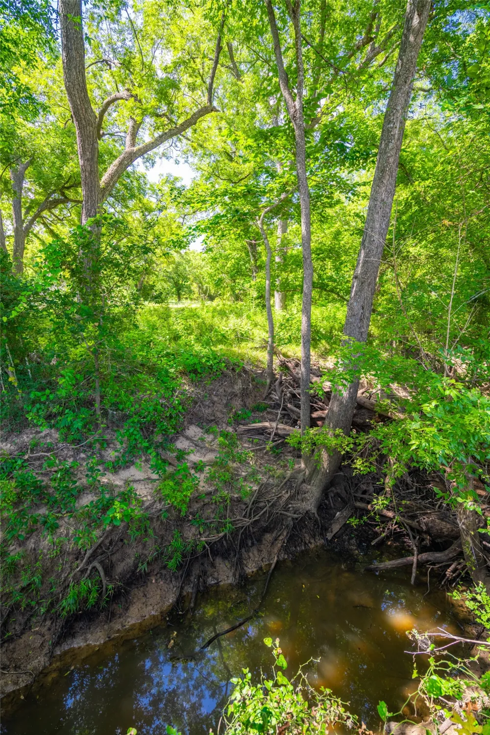 17000 FM 112 Thrall, TX 76578