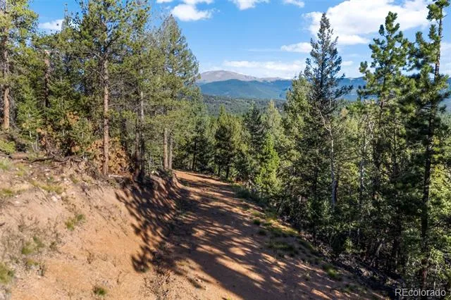 157 Saddle Horn Lane Bailey, CO 80421