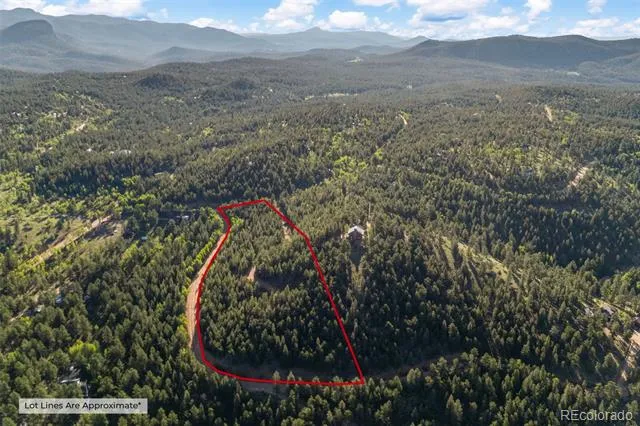 157 Saddle Horn Lane Bailey, CO 80421