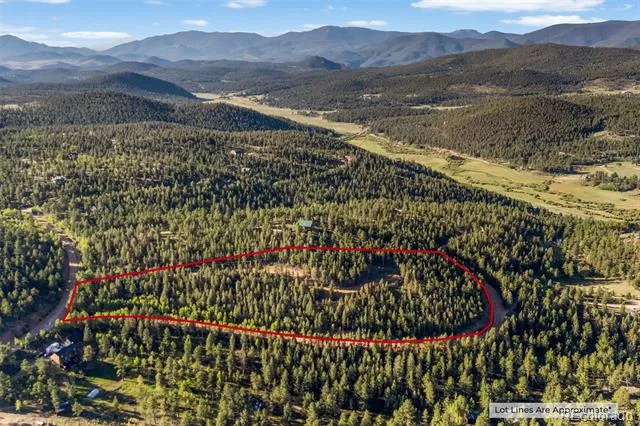 157 Saddle Horn Lane Bailey, CO 80421