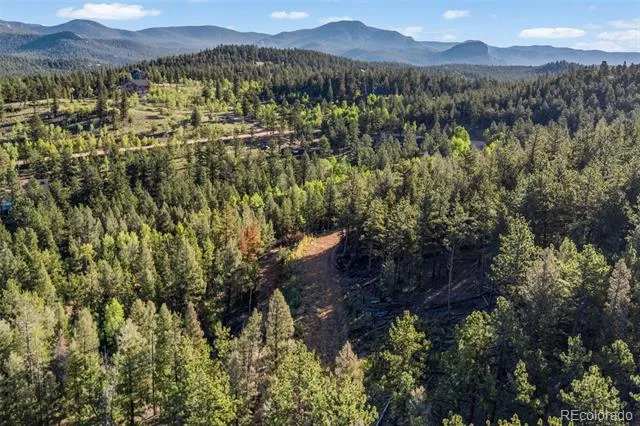 157 Saddle Horn Lane Bailey, CO 80421