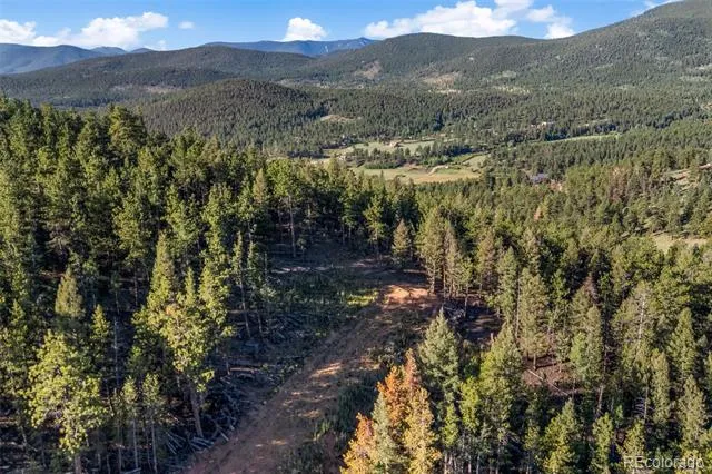 157 Saddle Horn Lane Bailey, CO 80421