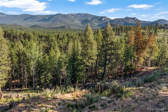 157 Saddle Horn Lane Bailey, CO 80421