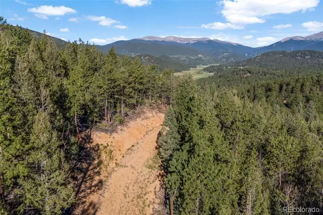 157 Saddle Horn Lane Bailey, CO 80421