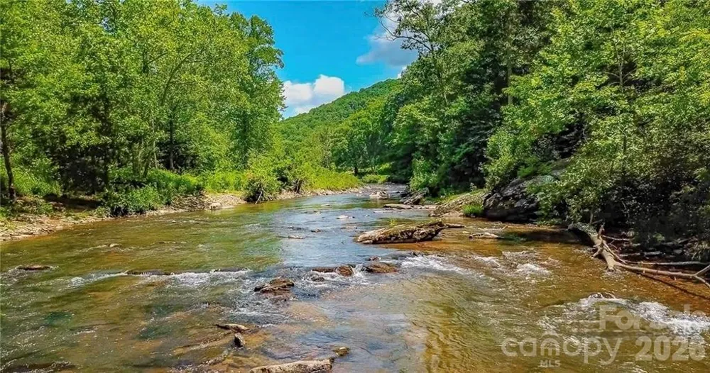 597 Auborn Trivette Road Sugar Grove, NC 28679