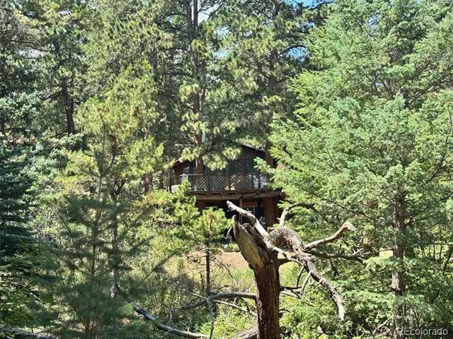 1324 Pine Glade Road Nederland, CO 80466