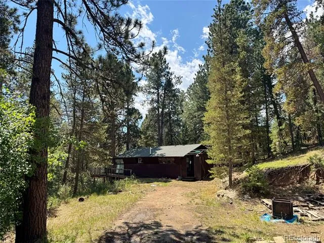 1324 Pine Glade Road Nederland, CO 80466