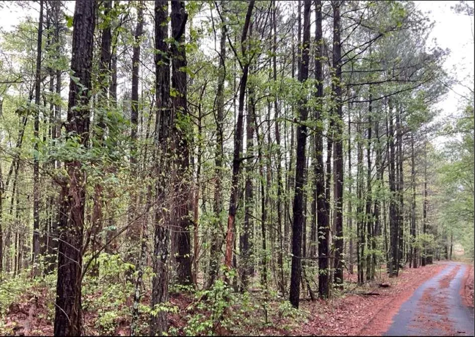 0 Labudde Lane Colbert, GA 30628
