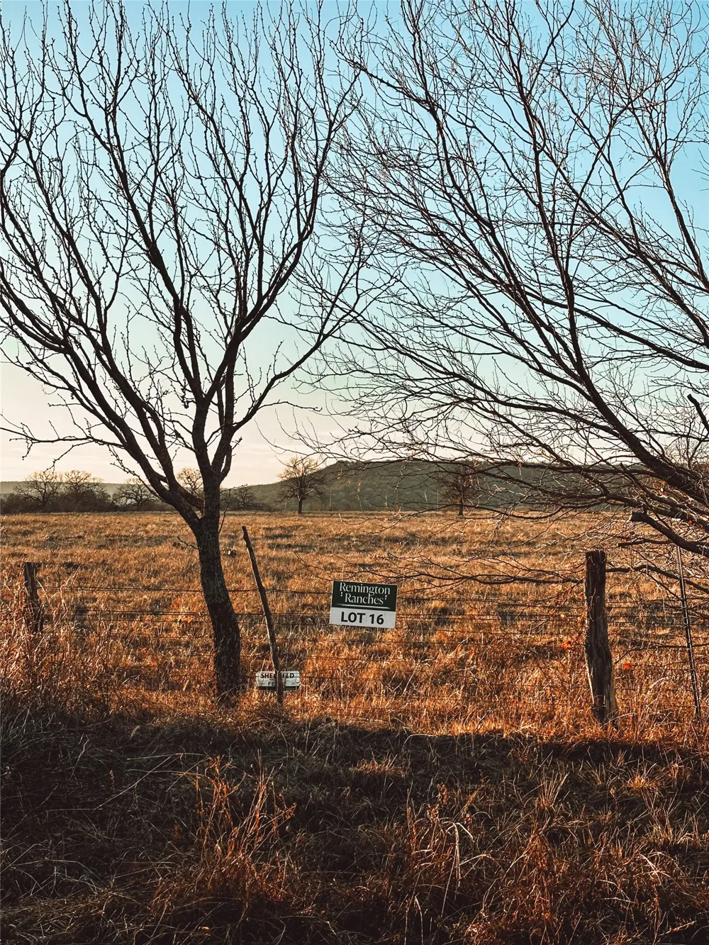 Dobbs Valley Road Santo, TX 76067
