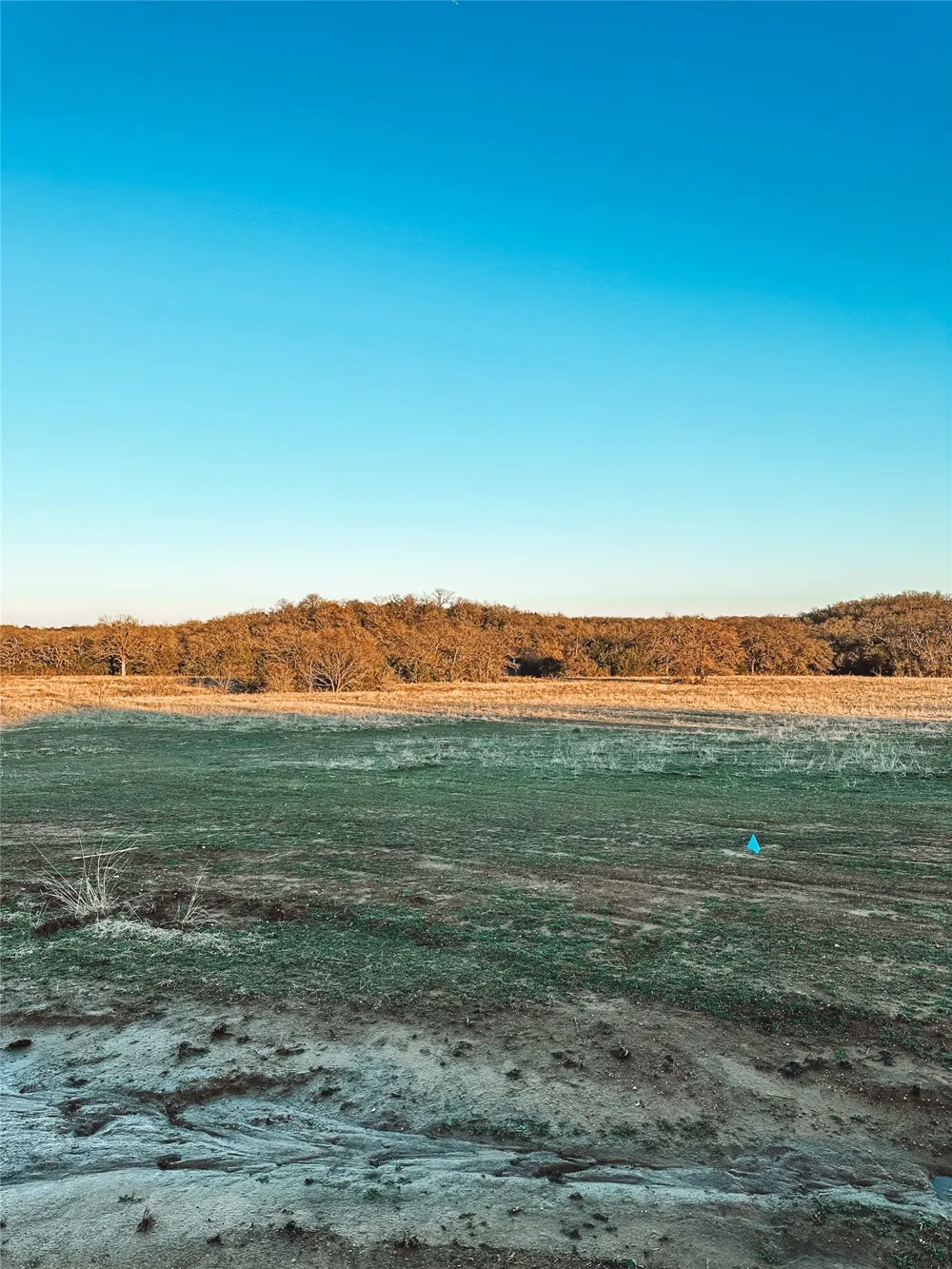 Dobbs Valley Road Santo, TX 76067