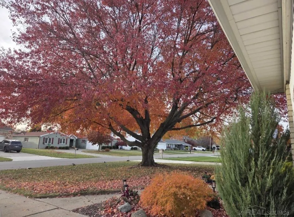 41304 Clairpointe St Street Harrison Charter Township, MI 48045