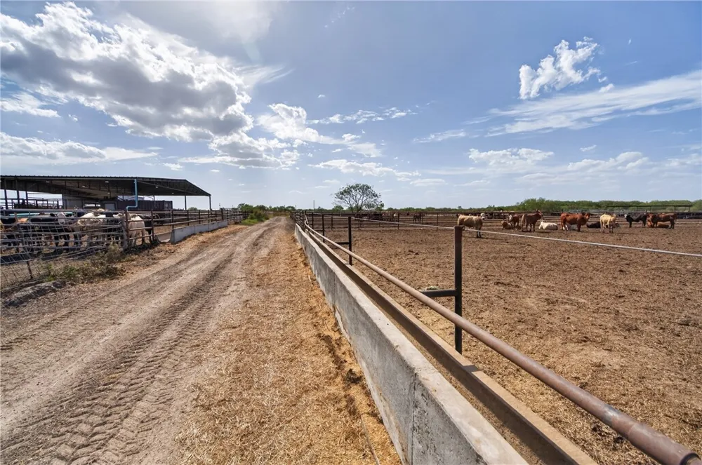 1389 W FM 2044 Alice, TX 78332