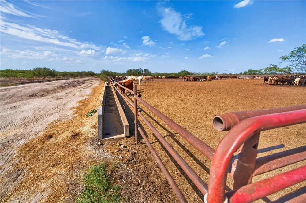 1389 W FM 2044 Alice, TX 78332