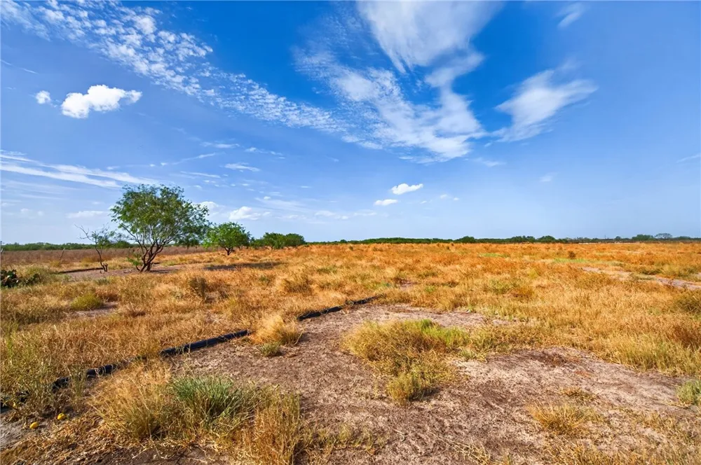 1389 W FM 2044 Alice, TX 78332