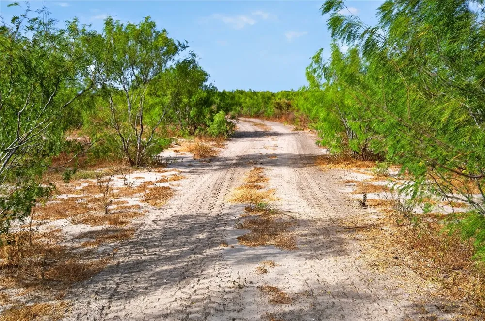 1389 W FM 2044 Alice, TX 78332