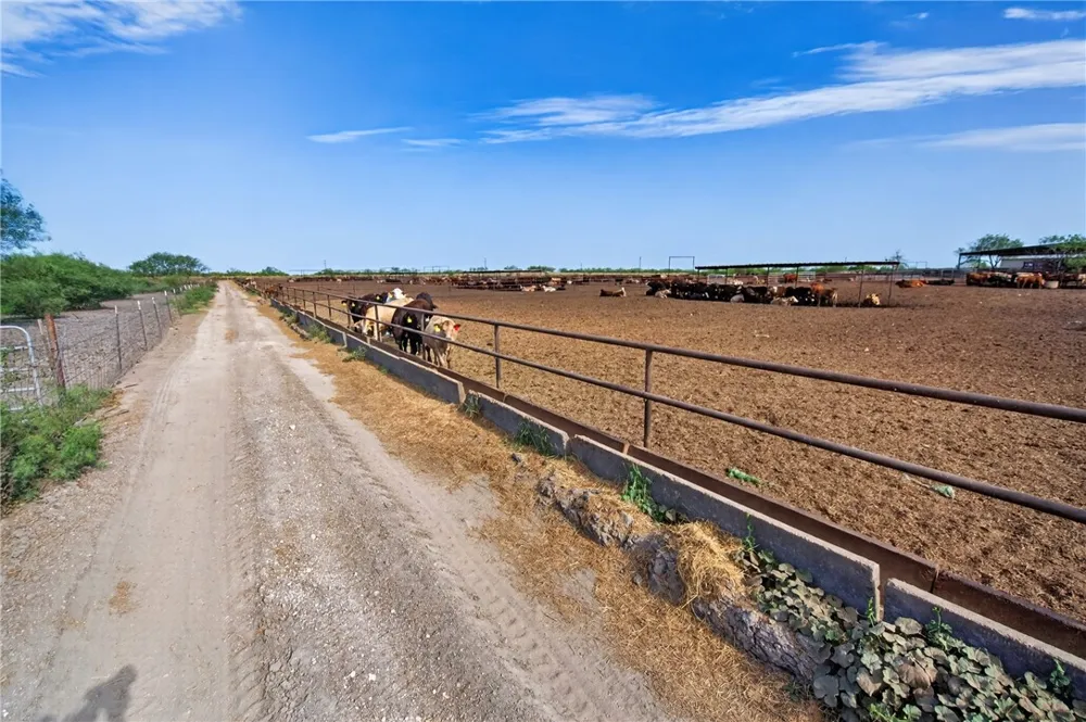 1389 W FM 2044 Alice, TX 78332