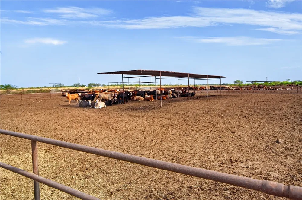 1389 W FM 2044 Alice, TX 78332