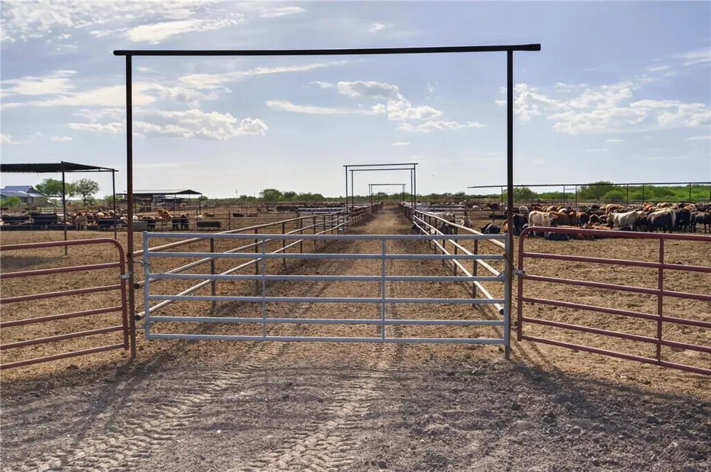 1389 W FM 2044 Alice, TX 78332