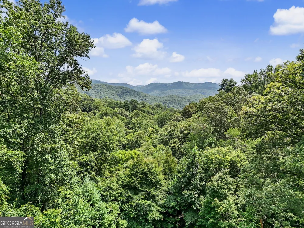 557 Fox Trot RD Clayton, GA 30525