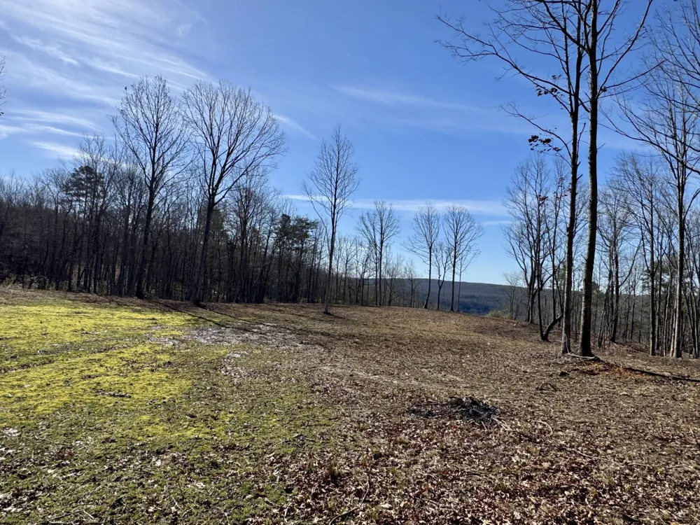 Hobbstown Road Dunlap, TN 37327