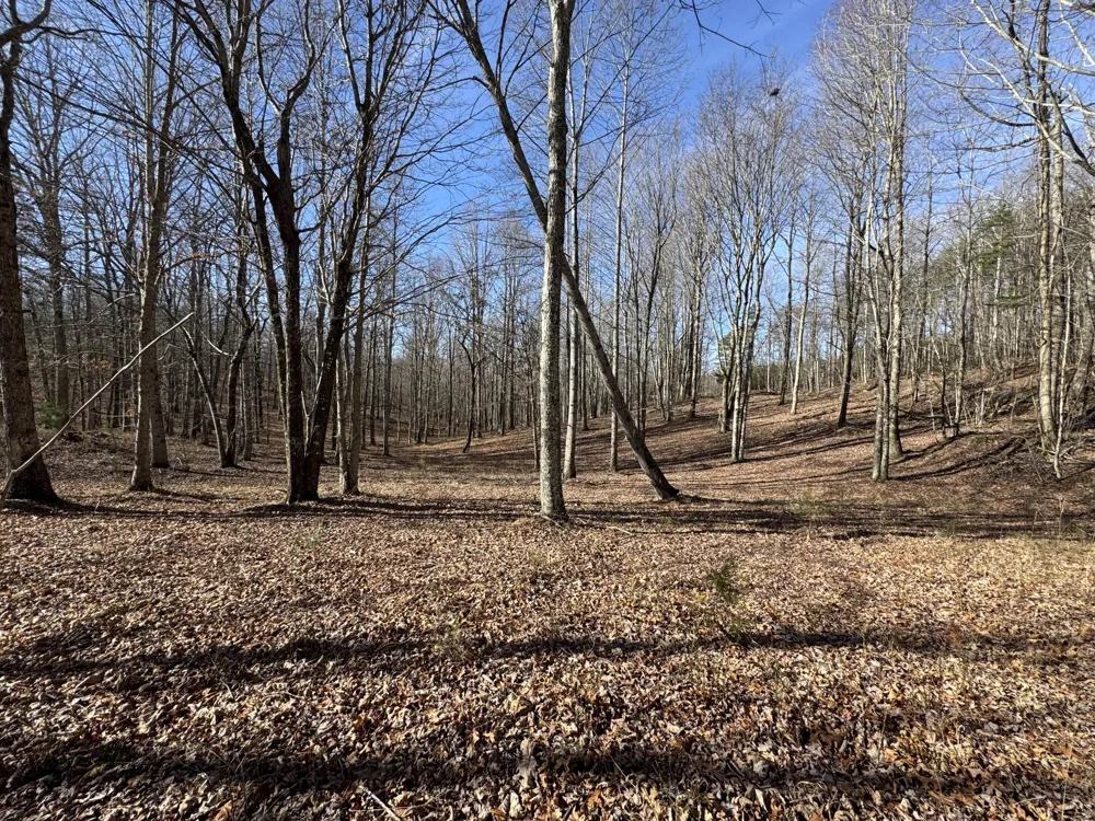 Hobbstown Road Dunlap, TN 37327