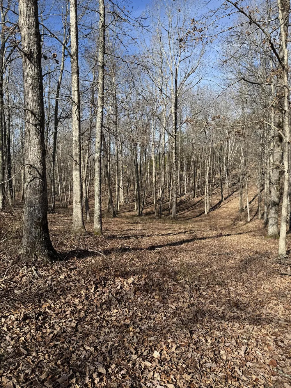 Hobbstown Road Dunlap, TN 37327