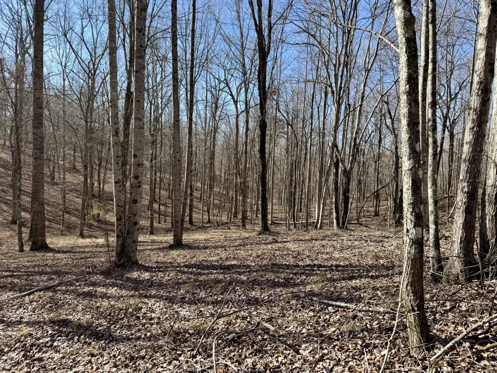 Hobbstown Road Dunlap, TN 37327